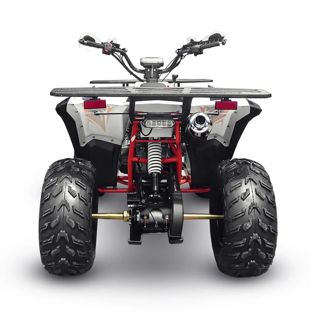 Big Boy Monster Roamer 180F ATV